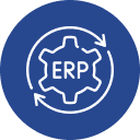 ERP and Accounting Systems